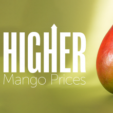 Reports: Higher Mango Pricing and Strong Demand Tighten Mango Market; Gary Clevenger Discusses
