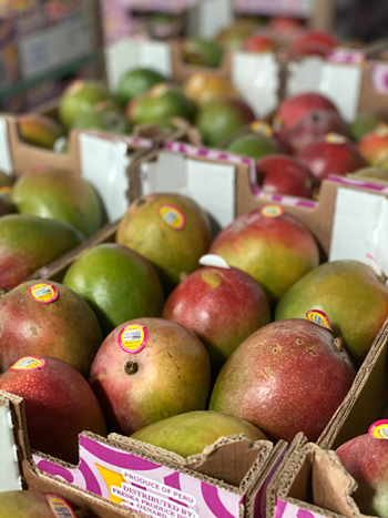 Image: mangos packed into an open top box