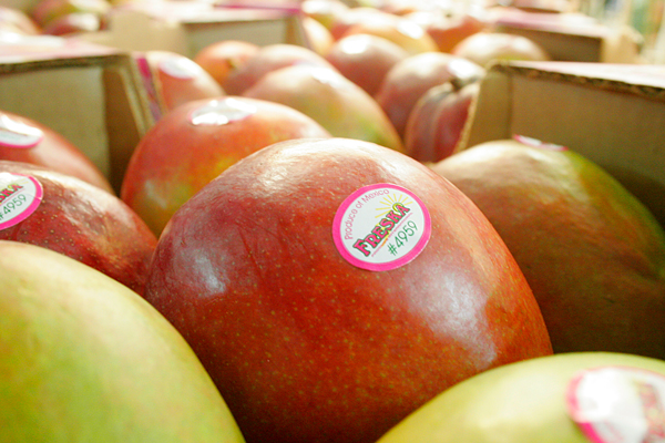 Image: close-up on mangos packed into an open top box