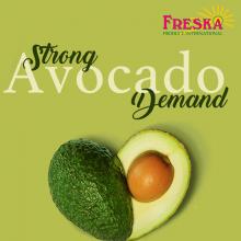 Freska Produce International's Gary Clevenger Discusses Strong Avocado Demand